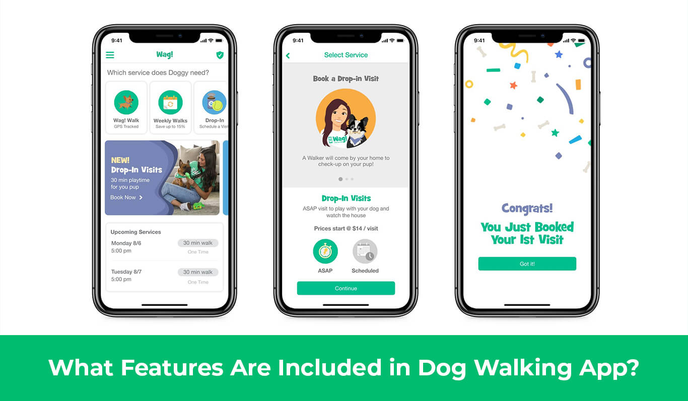 How Much does it Cost to develop an on-demand dog walking app 