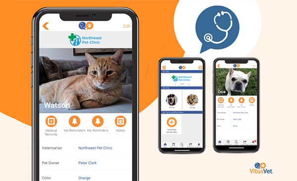 VitusVet Pet Healthcare app